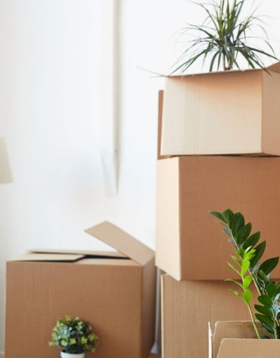 Umzüge Kerpen - Entrümpelung - Haushaltsauflösung - Betriebsauflösung - Umzüge - Transporte - Entsorgungen - Entrümpelungsfirma